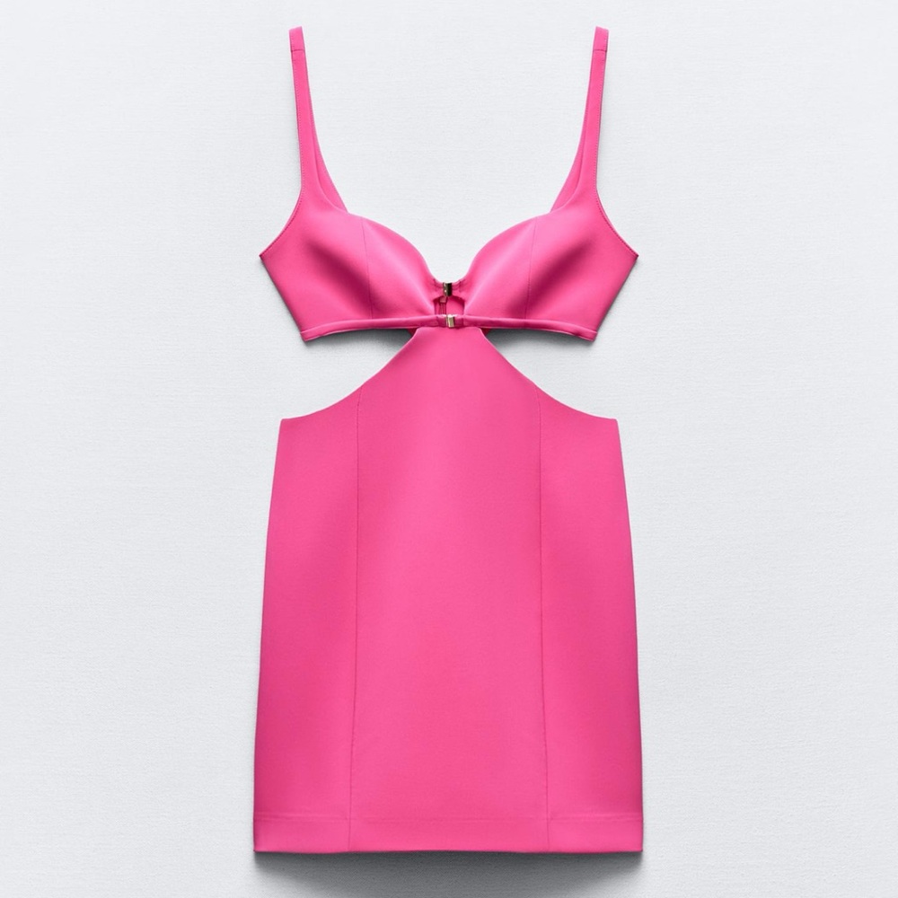 Zara | Fitted Cut Out Dress